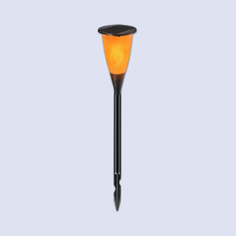 Outdoor Induction Light