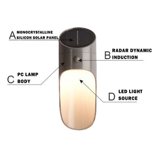 Solar Human Induction Light