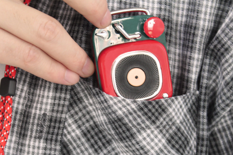 Portable mini speaker